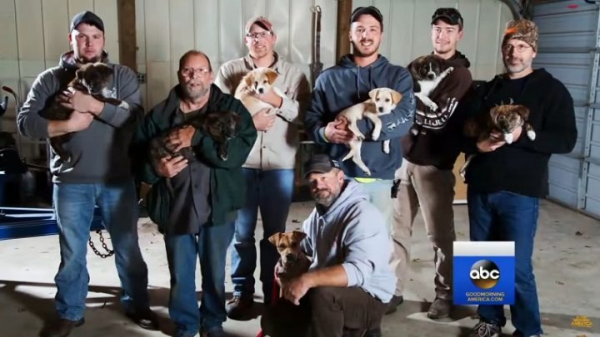 Illustration : "Fêtant un enterrement de vie de garçon dans les bois, un groupe d’amis sauve 7 chiots et leur mère "