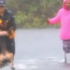 Illustration : Ouragan Florence : Une journaliste interrompt son direct pour aider &agrave; secourir un chien