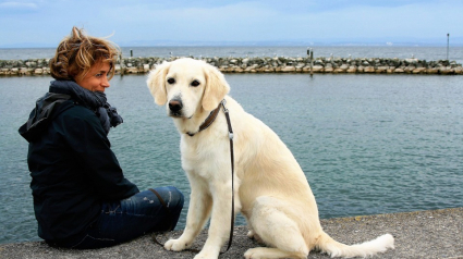 Illustration : 8 choses que seuls les propriétaires de chiens comprennent sans peine