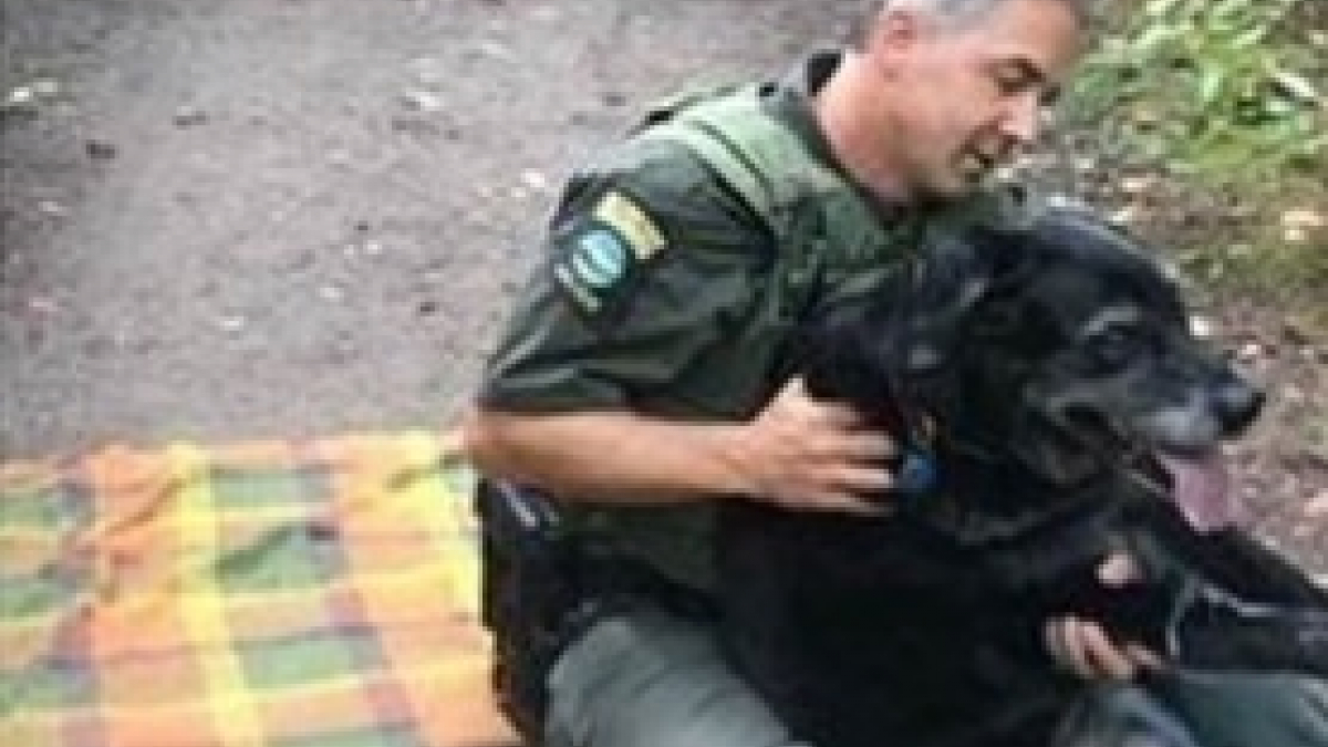 Illustration : "Un officier du service environnemental new-yorkais sauve un chien pris d'un malaise respiratoire"