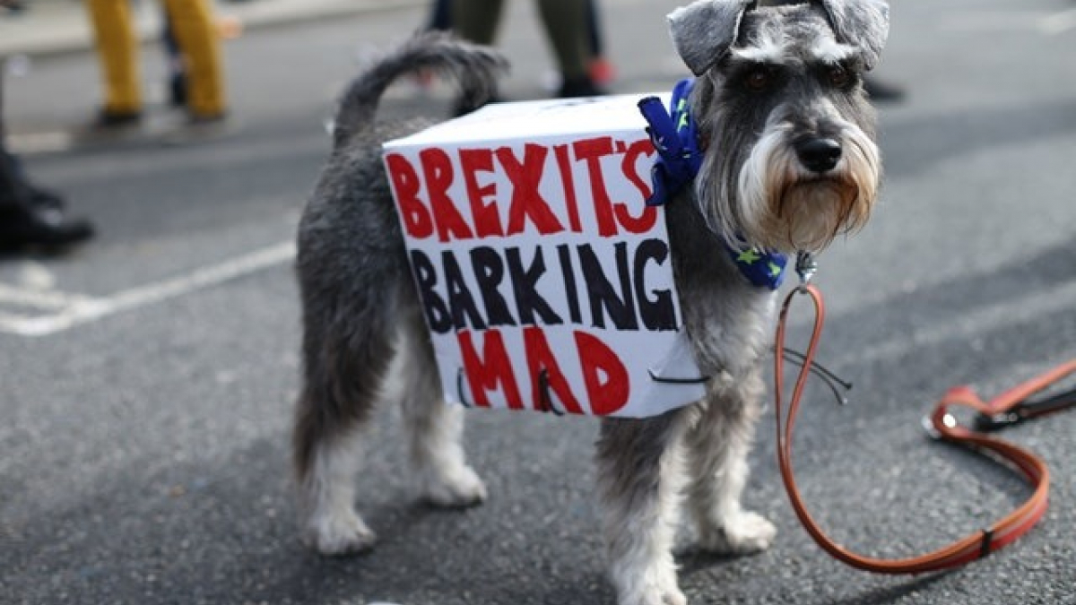 Illustration : "Brexit : Les chiens ont, eux aussi, leur mot à dire"