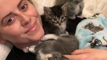 Illustration : Une jeune femme devient la mère de substitution de 3 chatons qui ne s'arrêtent plus de la cajoler