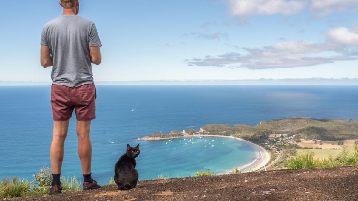 Illustration : "Il plaque tout pour faire le tour de l’Australie à bord de son camping-car et avec son chat"