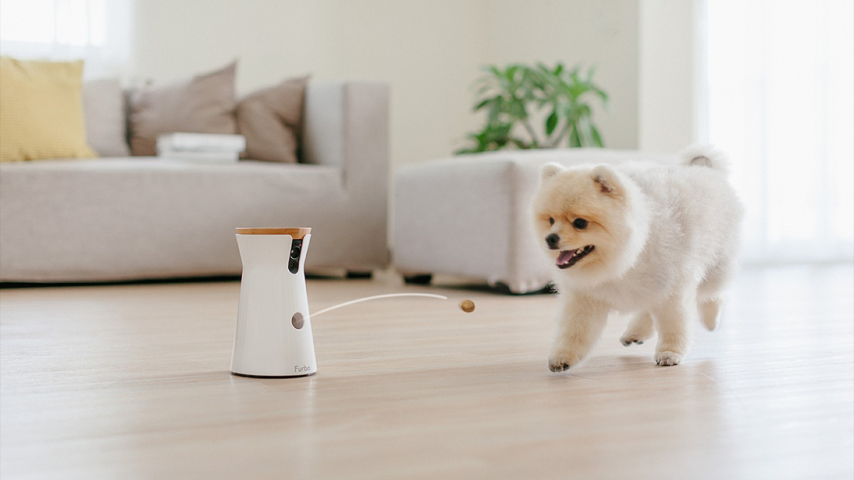 Illustration : "3 caméras connectées Furbo pour regarder votre chien et interagir avec lui à distance sont à gagner sur Woopets"