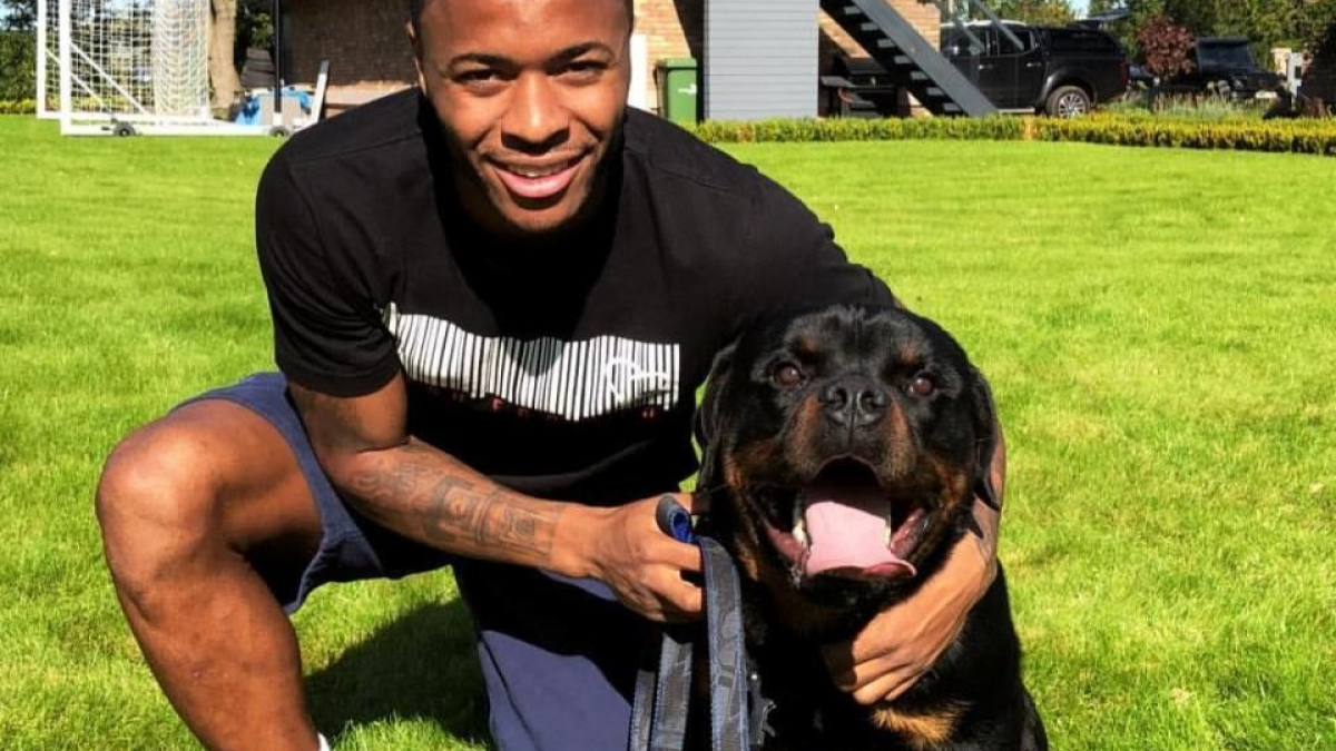 Illustration : "Joueur de football, Raheem Sterling s’offre un chien de garde à 17 000 € !"