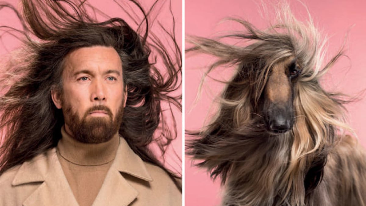 Illustration : "Ces chiens qui ressemblent à leur maître, par le photographe Gerrard Gethings"