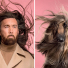 Illustration : Ces chiens qui ressemblent &agrave; leur ma&icirc;tre, par le photographe Gerrard Gethings