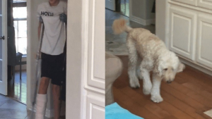 Illustration : Plein d'empathie, un chien imite son maître qui a la jambe plâtrée (vidéo)