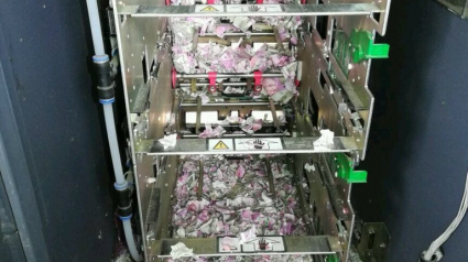 Illustration : Un rat sème la pagaille dans un distributeur automatique de billets et ingère 17 685 $
