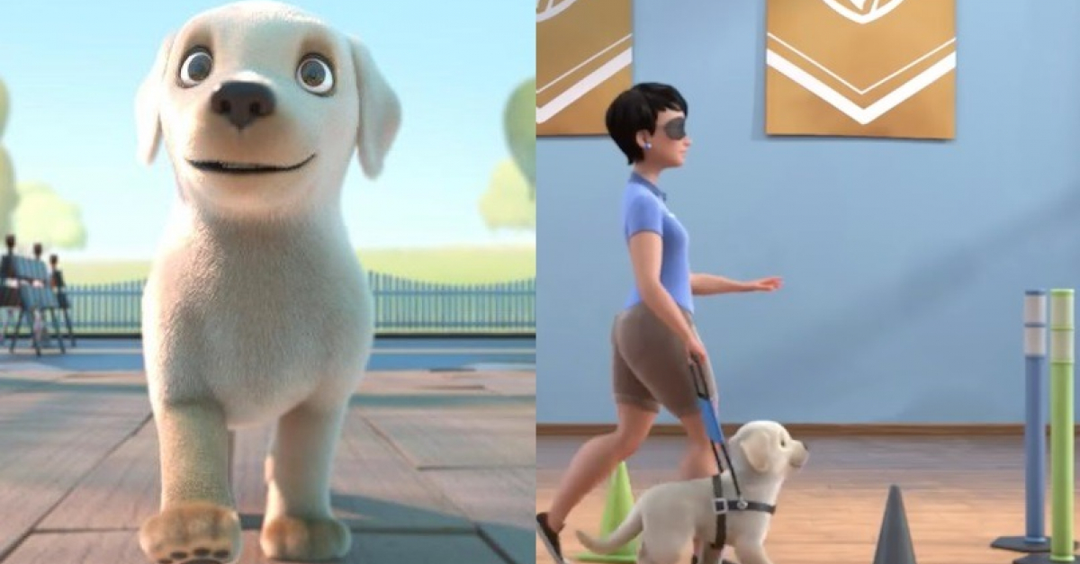 Pip, le chien qui voulait être guide d'aveugle ; découvrez ce magnifique  court-métrage animé