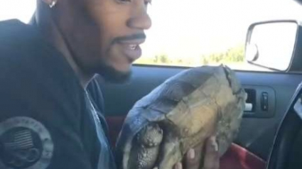 Illustration : Quand un athlète met sa vitesse au service d'une tortue en danger (vidéo)