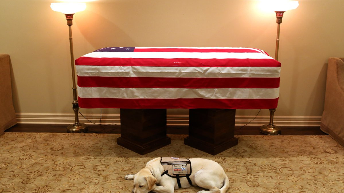 Illustration : "Fidèle au poste, Sully la chienne du défunt président Bush met le monde en émoi"