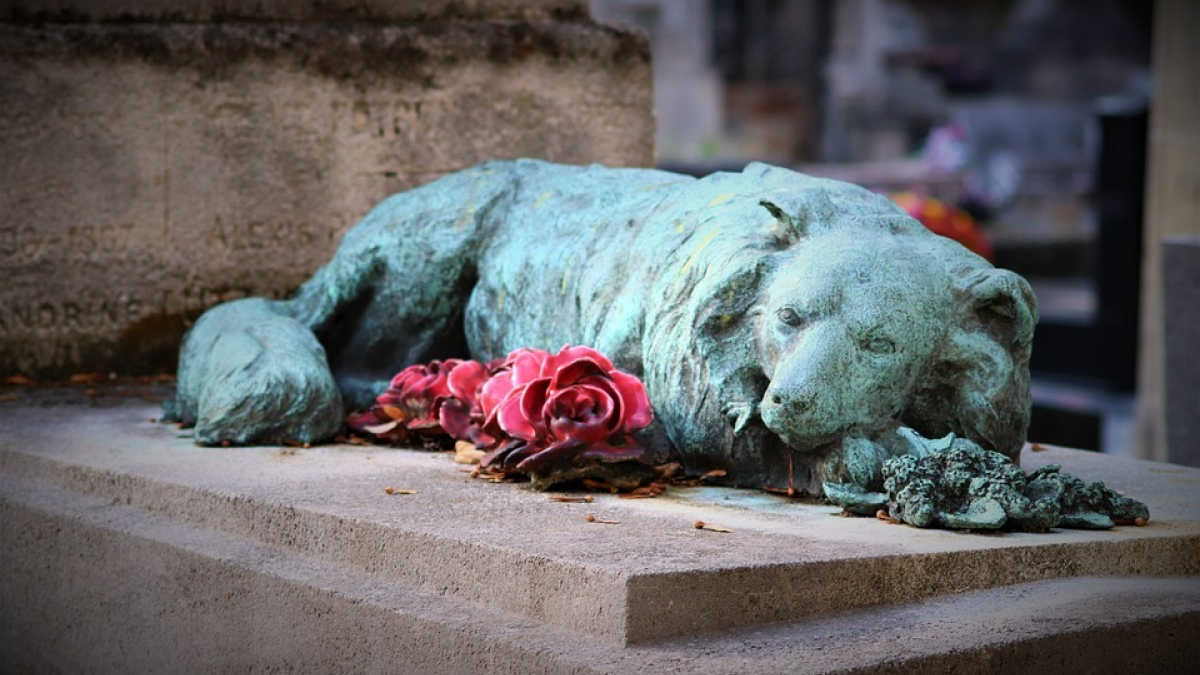 Illustration : "Oui, la mort d'un chien est une épreuve aussi douloureuse que celle d'un proche"