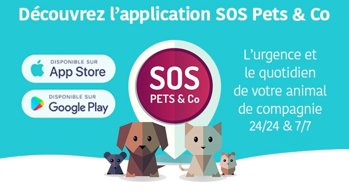 Illustration : "Olivia Augereau (SOS Pets&Co) : « Beaucoup d’animaux sauvés grâce à notre application ! »"