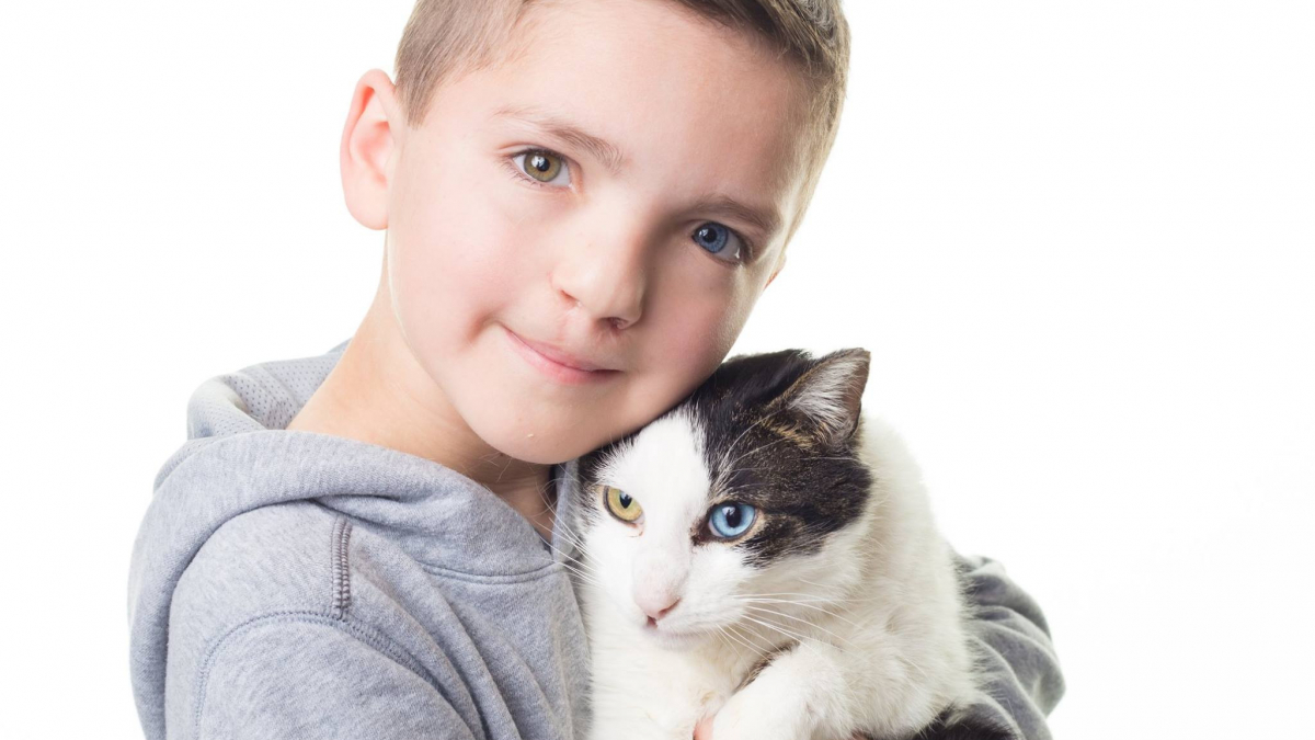 Illustration : "Harcelé à l’école ce jeune garçon trouve du réconfort dans un chat"