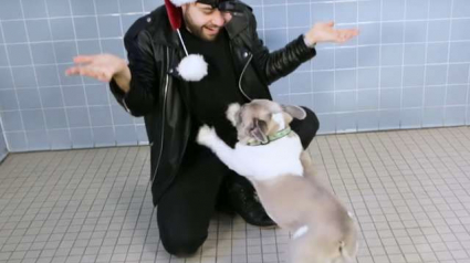 Illustration : (Vidéo) Des chiens de refuge découvrent la magie, leur réaction est hilarante