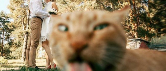 Illustration : "19 photos prouvant qu'avoir un chat ou un chien dans sa vie lui donne une tout autre dimension"