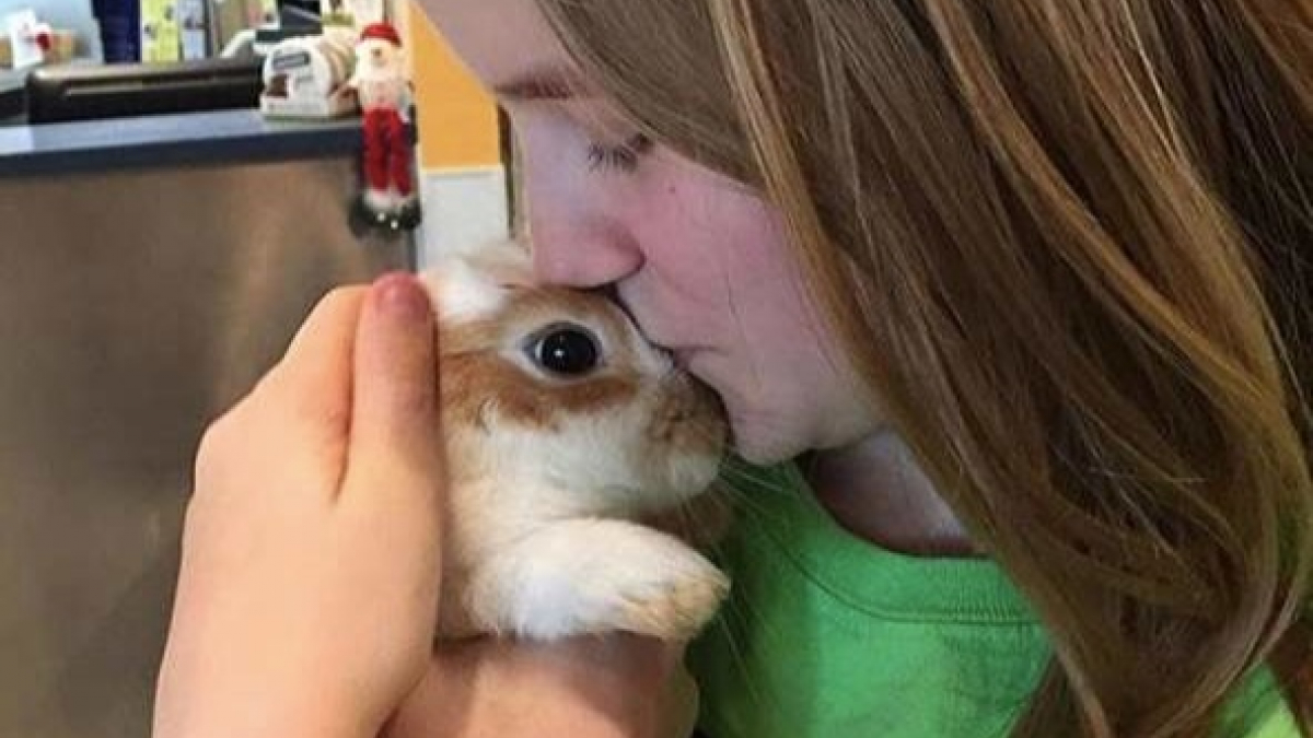 Illustration : "Une bénévole sauve la vie d'un lapin abandonné parce que trop affectueux"