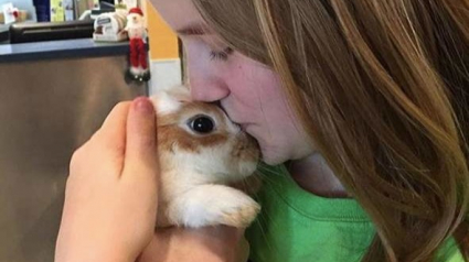 Illustration : Une bénévole sauve la vie d'un lapin abandonné parce que trop affectueux