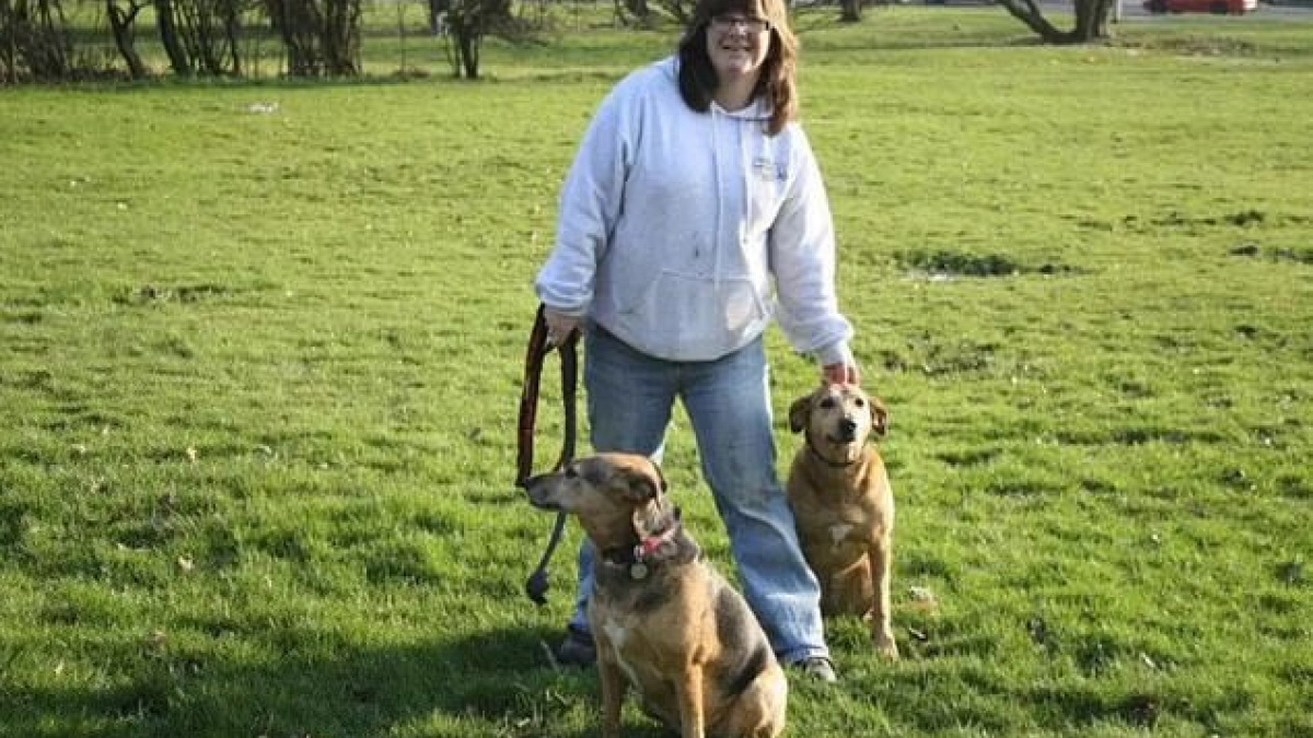 Illustration : "Une promeneuse professionnelle surprise en train de maltraiter les chiens dont elle était censée s’occuper"