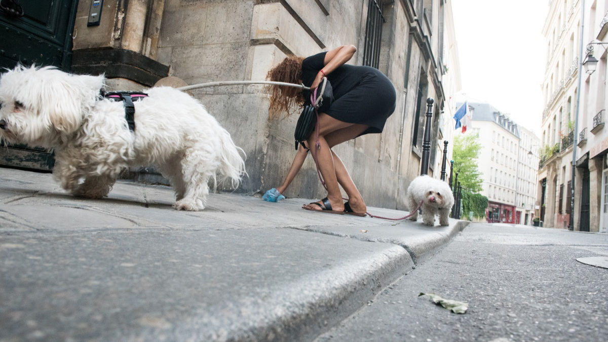 Illustration : "Un hashtag #balancetacrotte voit le jour à Béziers"