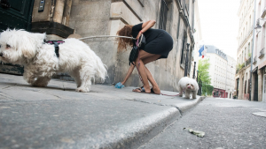 Illustration : Un hashtag #balancetacrotte voit le jour à Béziers