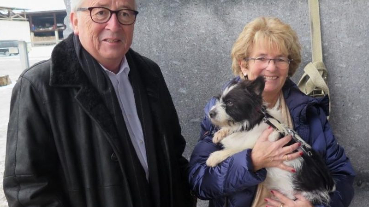 Illustration : "Président de la commission européenne, Jean-Claude Juncker adopte un chien au passé douloureux"