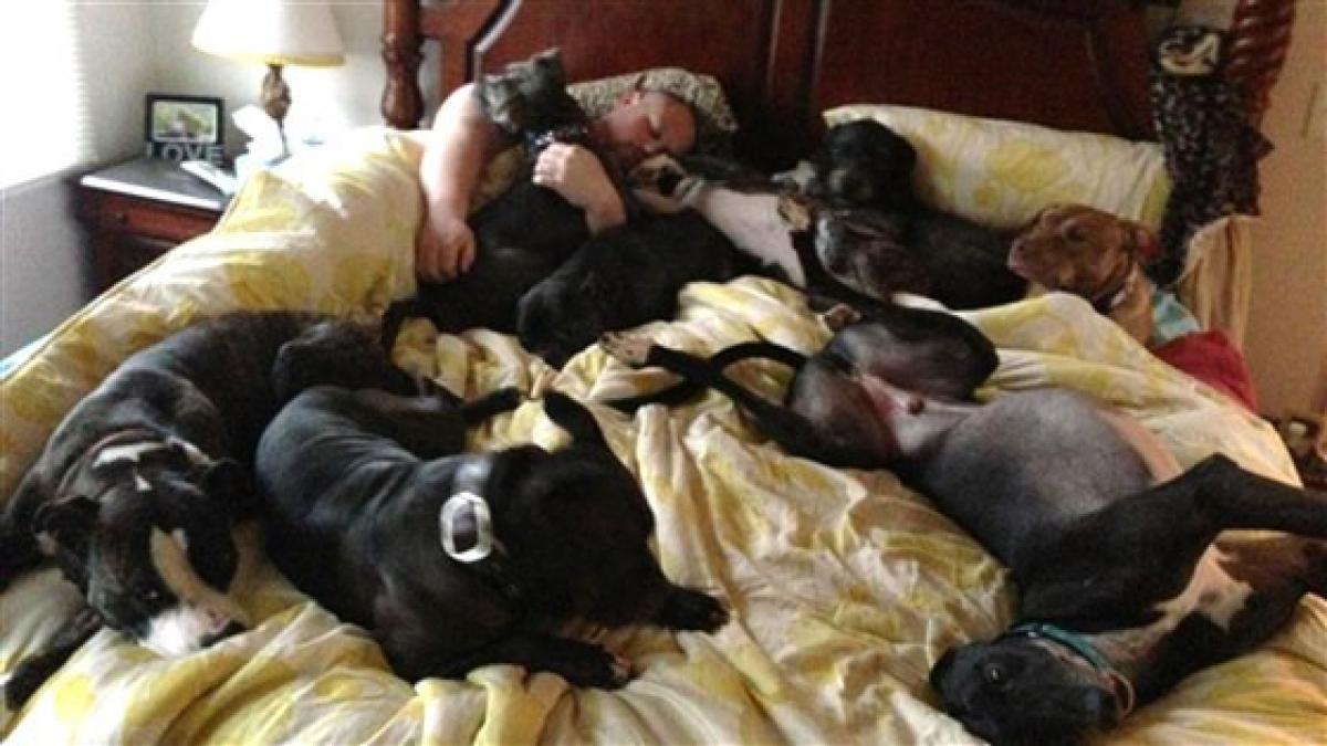 Illustration : "Pour leur 8 chiens ils ont créé un lit aux dimensions exceptionnelles !"