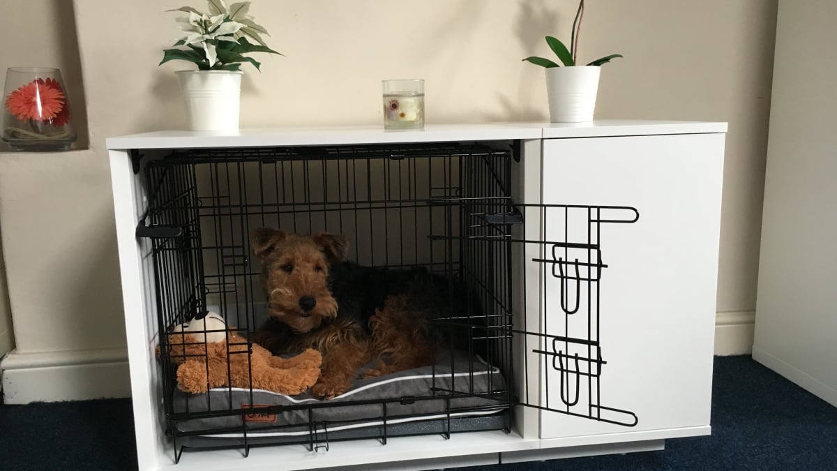 Pourquoi opter pour une niche d'intérieur pour chien ?