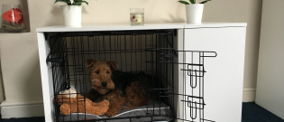 Illustration : "Une niche d'intérieur pour chien est-elle vraiment utile ?"