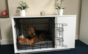 Illustration : "Une niche d'intérieur pour chien est-elle vraiment utile ?"
