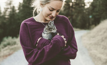 Illustration : "Socialiser son chaton"