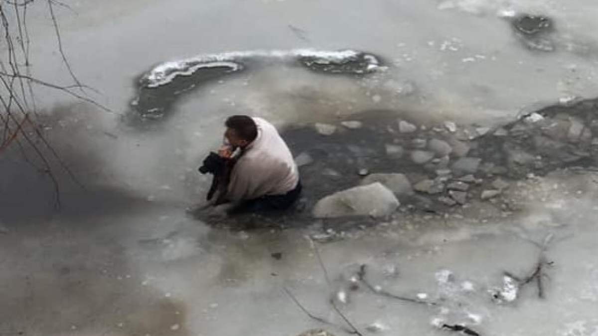 Illustration : "Alerté par son chien, il saute dans l'eau glacée pour en sauver un autre"