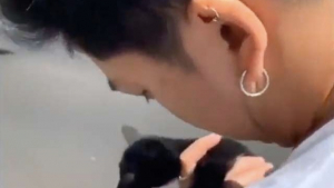 Illustration : Un automobiliste s'arrête sur une route bondée pour sauver un chat (vidéo)