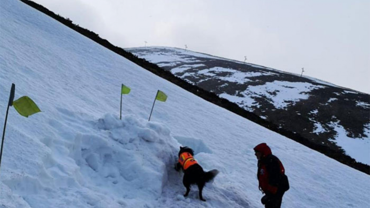 Illustration : "(Vidéo) Victime d'une avalanche, il filme sous la neige son sauvetage par un chien !"
