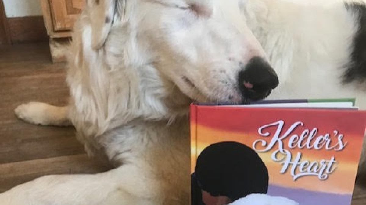 Illustration : "Un écrivain s’inspire de sa vie avec un chien sourd et aveugle pour transmettre un message universel"