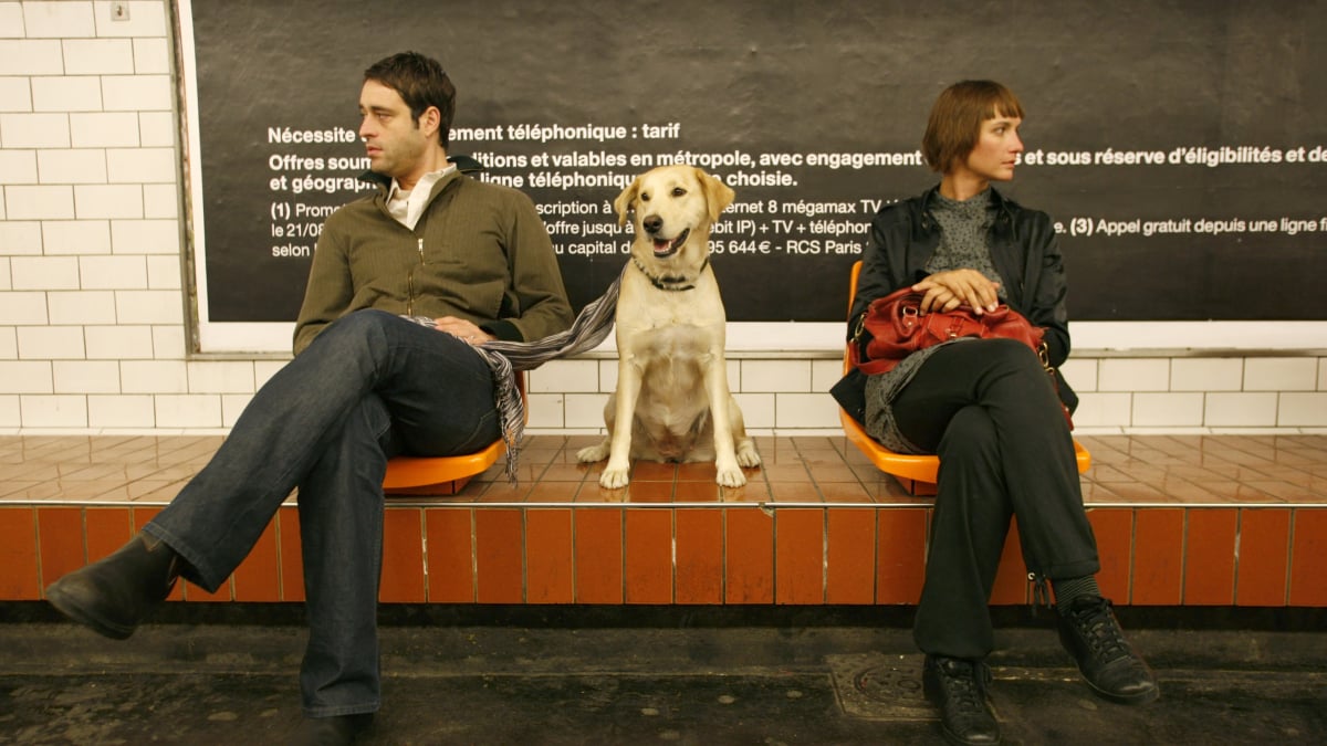 Illustration : "Comment voyager avec son chien dans les transports en commun ?"