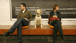 Illustration : "Comment voyager avec son chien dans les transports en commun ?"