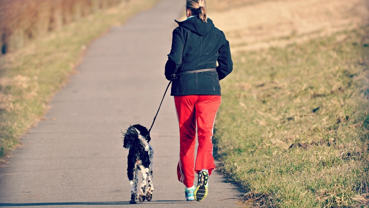 Illustration : "7 manières amusantes de faire du sport avec votre chien"