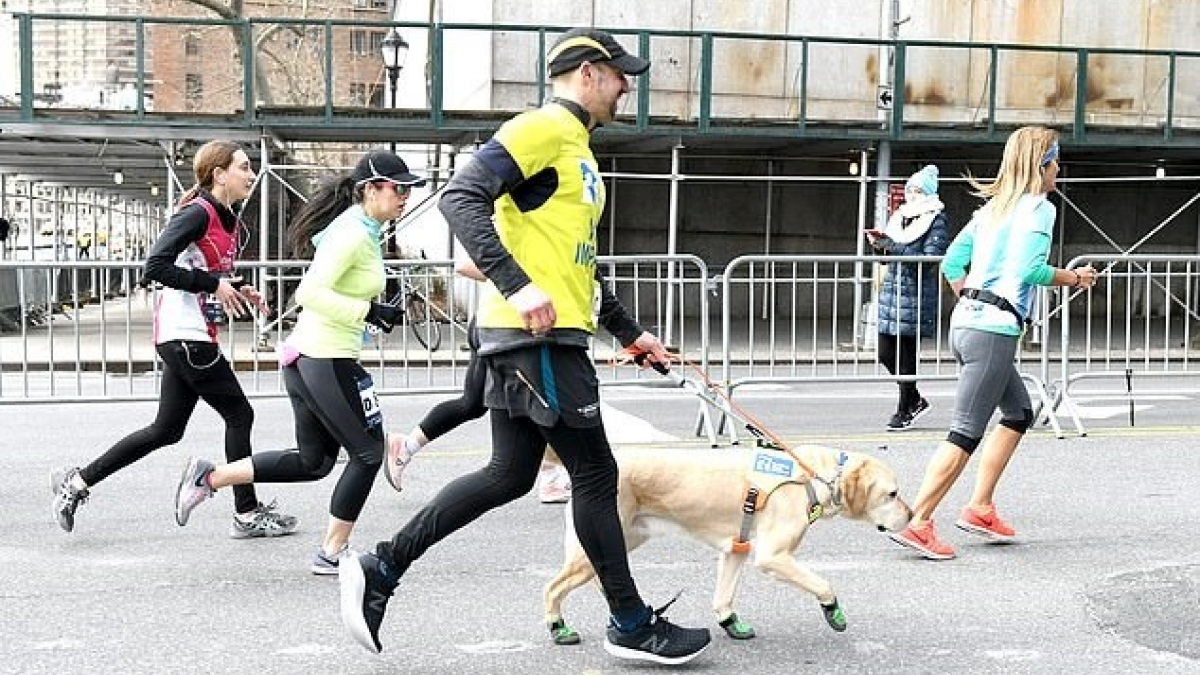 Illustration : "Grâce à ses 3 chiens, il devient le premier aveugle à finir un semi-marathon sans guide humain"