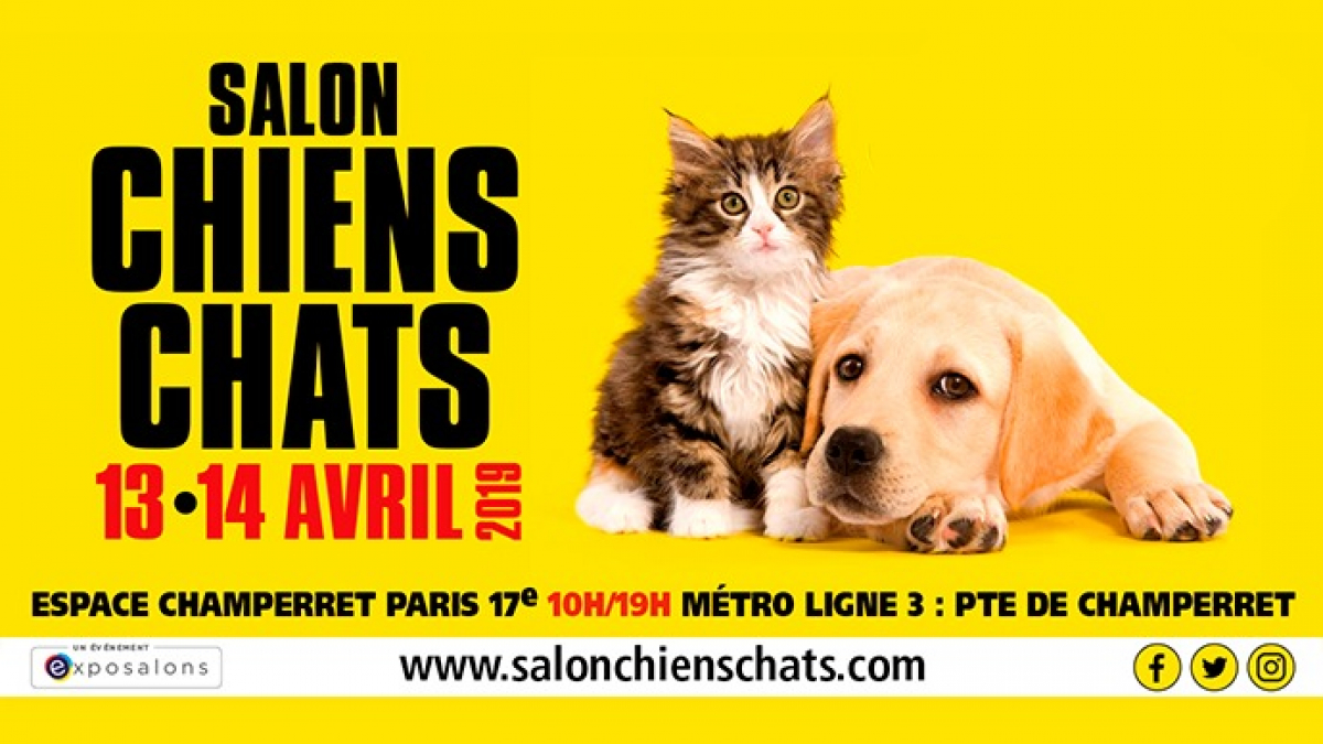 Illustration : "La 8e édition du salon Chiens Chats s'apprête à vous accueillir les 13 et 14 avril"