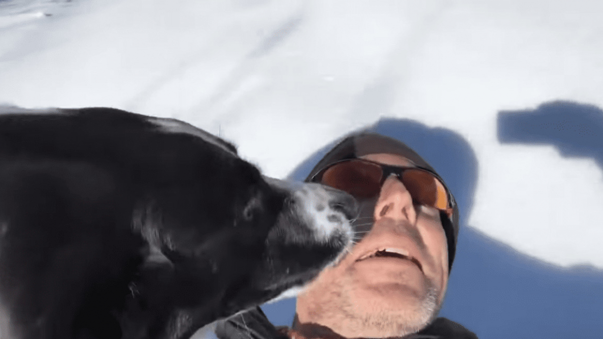Illustration : "(Vidéo) Le retour en enfance de cet homme en pleine promenade avec son chien"