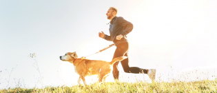 Illustration : "Bien s’occuper de la santé d’un chien pratiquant le canicross"
