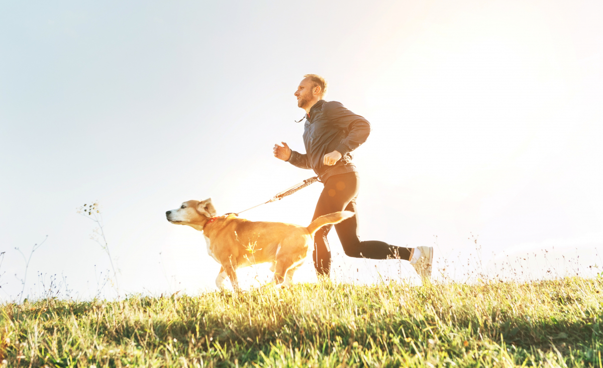 Illustration : "Bien s’occuper de la santé d’un chien pratiquant le canicross"