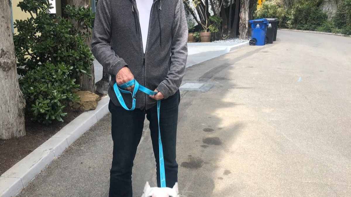 Illustration : "(Vidéo) Patrick Stewart en amoureux des chiens en quête d’une nouvelle famille "
