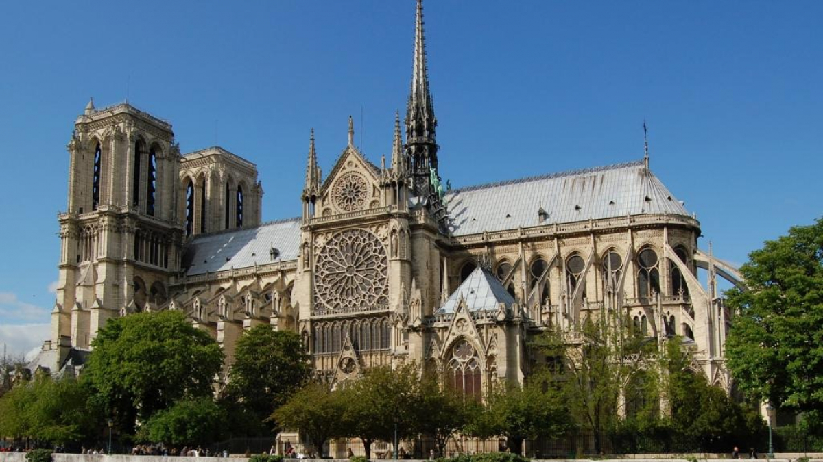 Illustration : "Notre-Dame de Paris, après l'incendie, les pompiers sauvent un chien de la noyade"