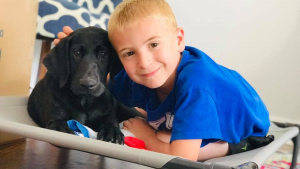 Illustration : A 7 ans, il a déjà sauvé plus d’un millier de chiens !