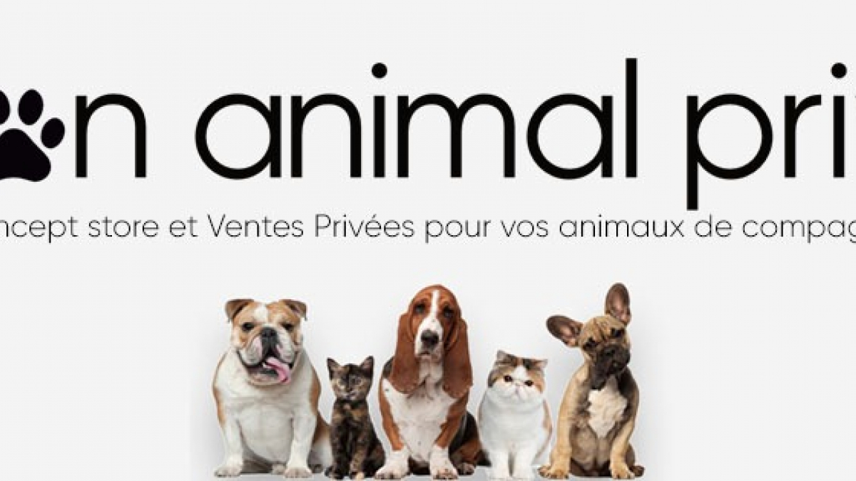 Illustration : "Mon Animal Privé étoffe son offre et ouvre sa marketplace"