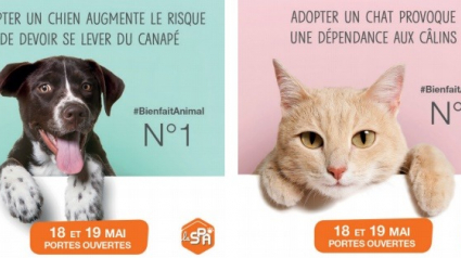 Illustration : Ce weekend, ne ratez pas les portes ouvertes de la SPA