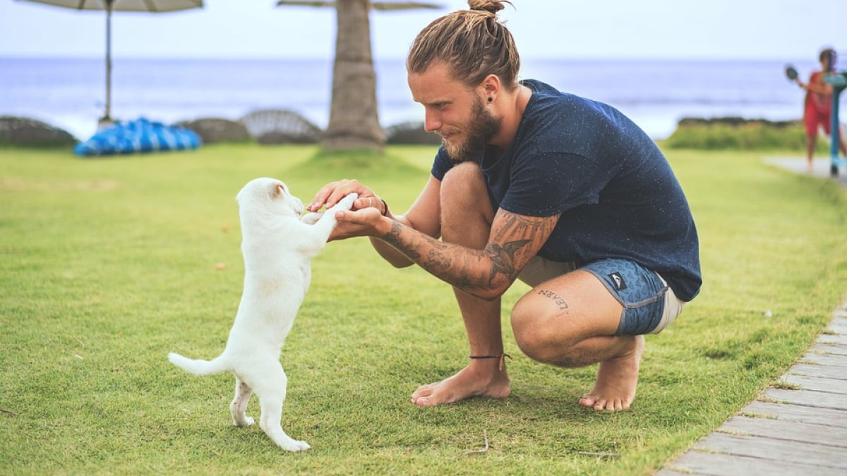 Illustration : "Selon cette étude, l'amour que l'on éprouve pour nos chiens est génétique"